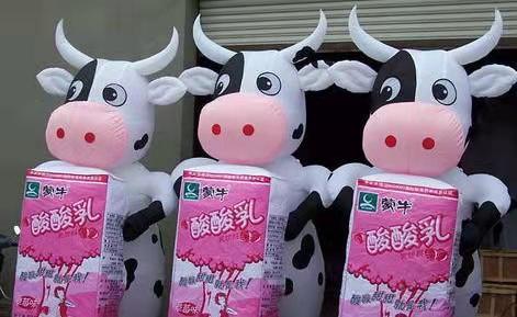贡觉牛奶厂广告气模